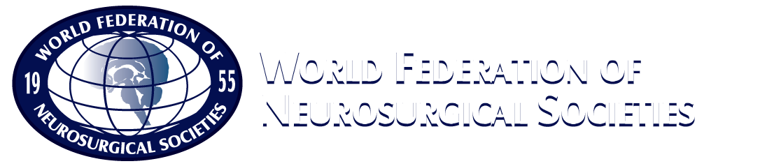 WFNS Logo